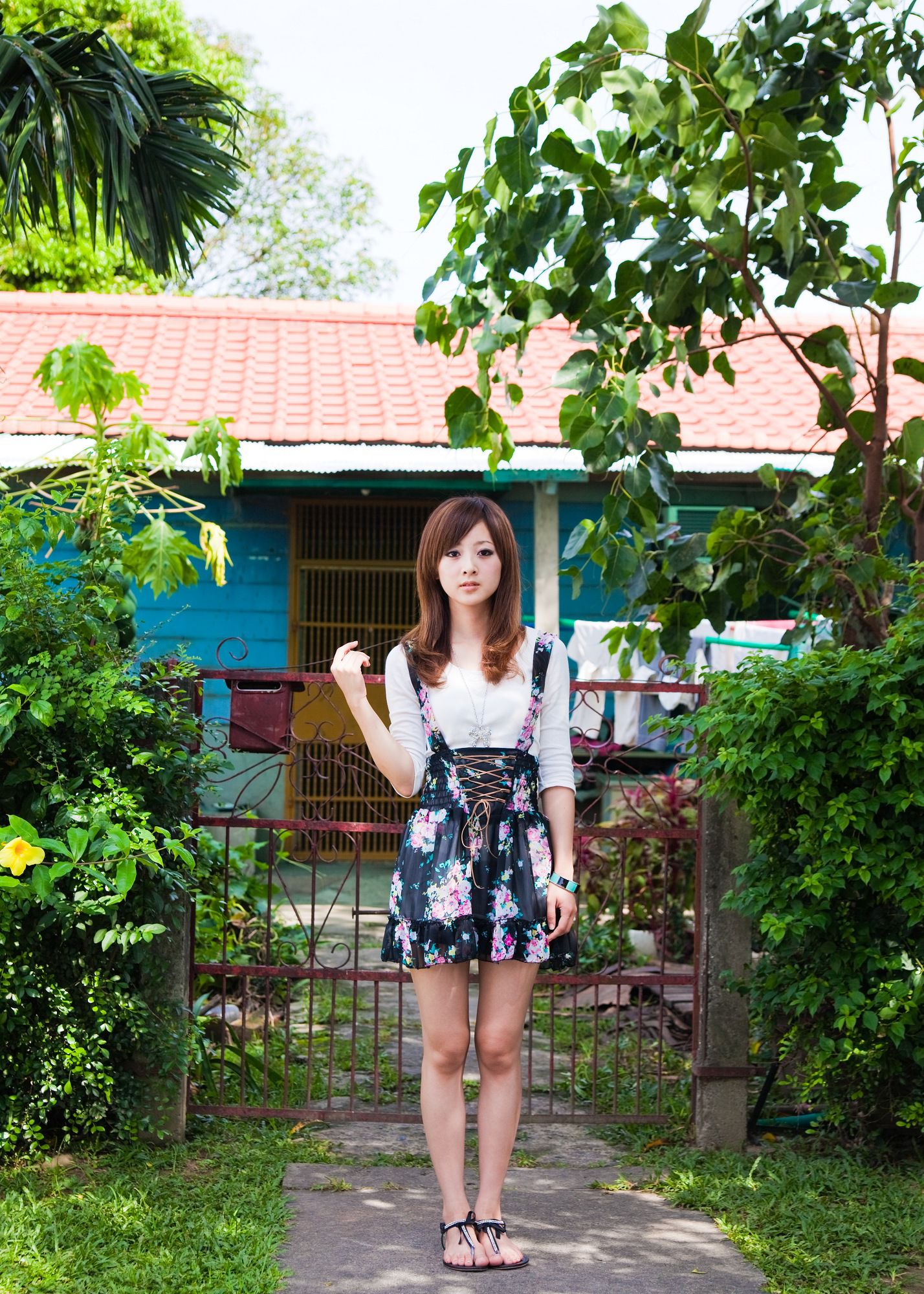 Zhang Kaijie Trang 31 No.506a3b
